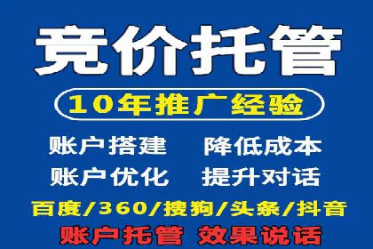 SEM代理助力品牌：案例解析与优化策略